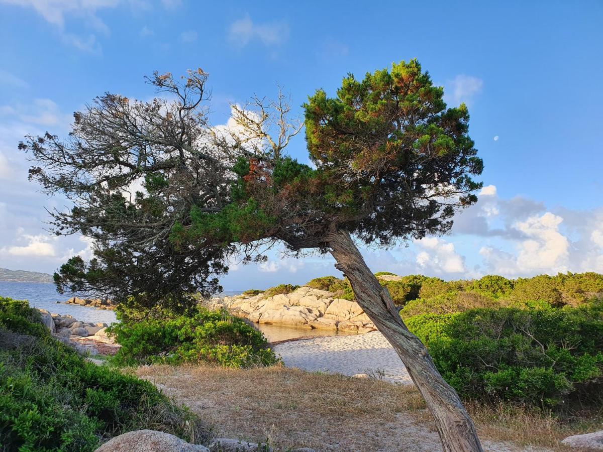 L'Ortu Di Quaprice Villa Figari  Luaran gambar